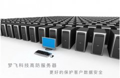 美國高防服務器的優(yōu)勢